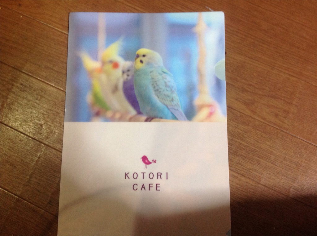 f:id:kao0710:20170103224402j:image f:id:kao0710:20170103224402j:image