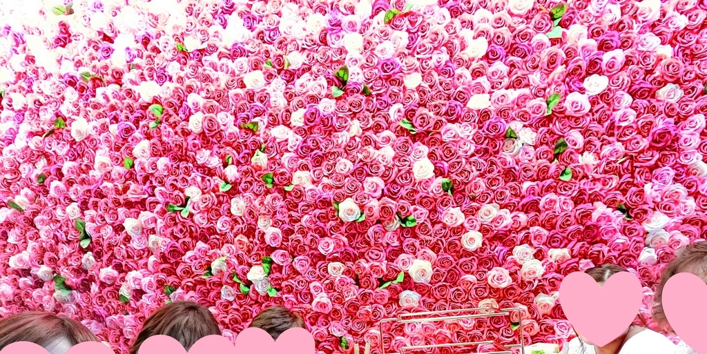 f:id:kao2613:20190220235804j:plain f:id:kao2613:20190220235804j:plain