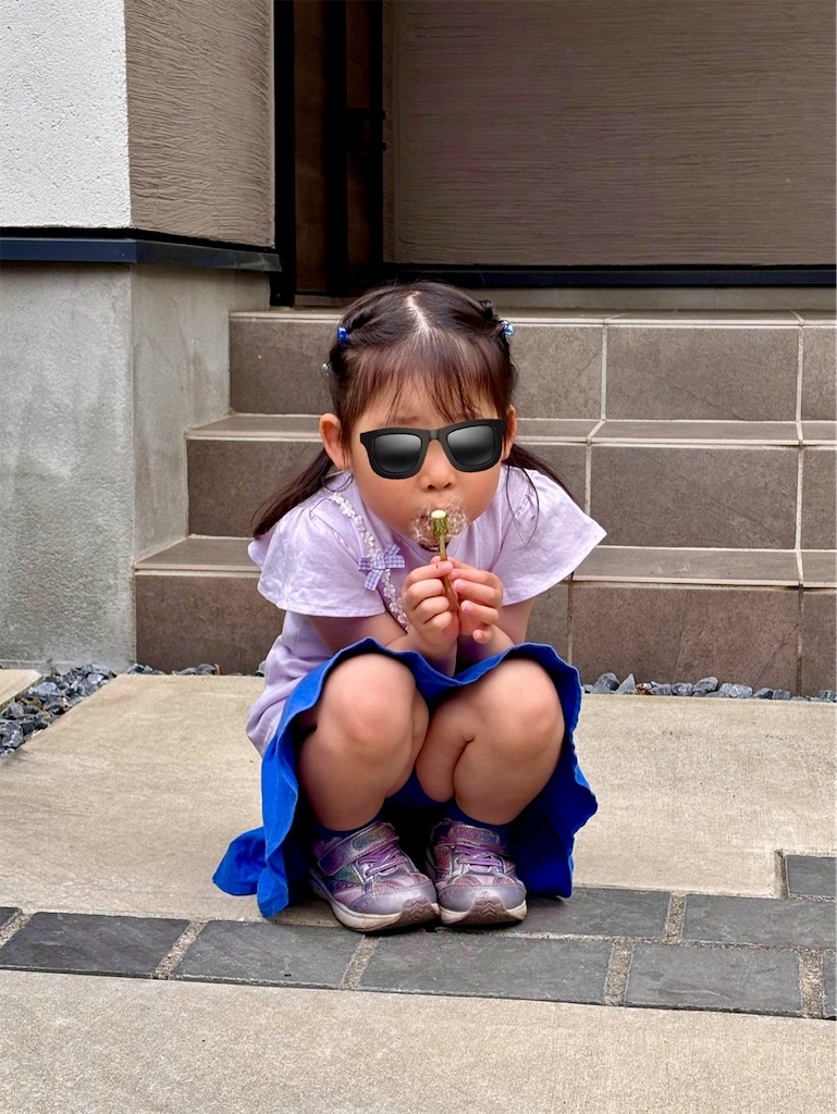 f:id:kao_maru:20250427103357j:image f:id:kao_maru:20250427103357j:image