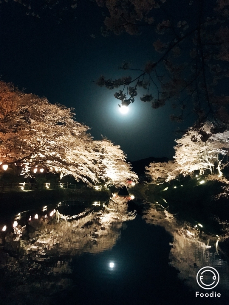 f:id:kaochan0801:20180401055958j:plain