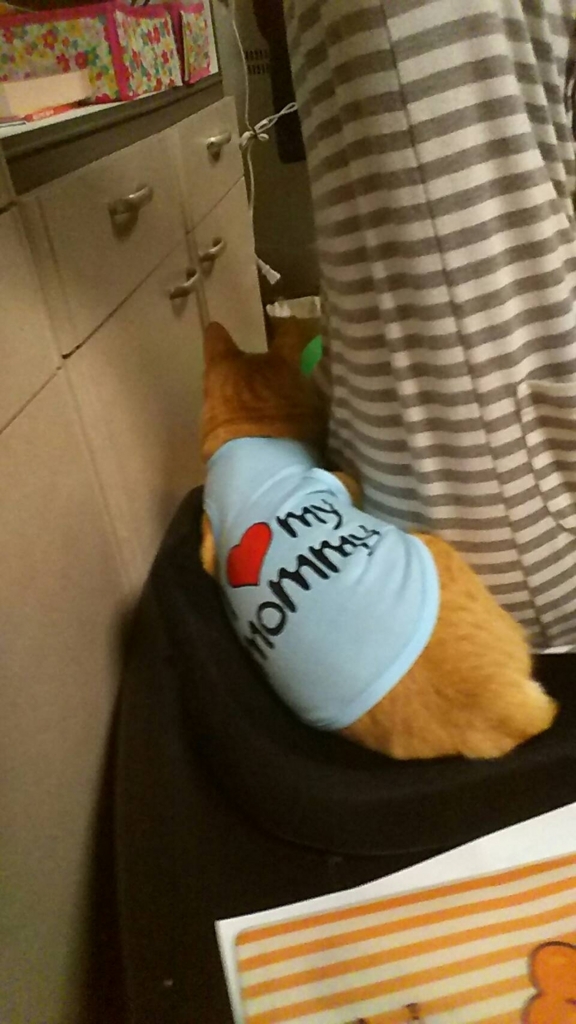 f:id:kaochan0801:20180401065328j:plain