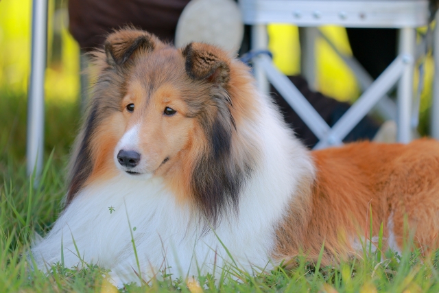 f:id:kaodekaojisan:20220131212558j:plain