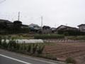 見ての通り畑です。住宅街の中で狭そうにしていました。