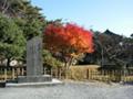 「日本三景松島」の石碑です。紅葉が鮮やかです。奥に見える建物が五