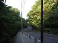 写真奥の方が東北大・青葉城方面です。森の中の道です。