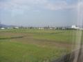 田畑の奥に市街地が見えます。