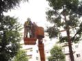 仙台市は、イベントの前に街路樹の手入れをするようです。 仙台市は、イベントの前に街路樹の手入れをするようです。