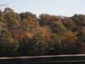 新幹線の車窓から。きれいな紅葉です。
