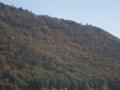 信夫山の紅葉　新幹線の車窓