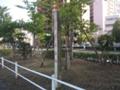 「狩猟禁止区域」だそうです。