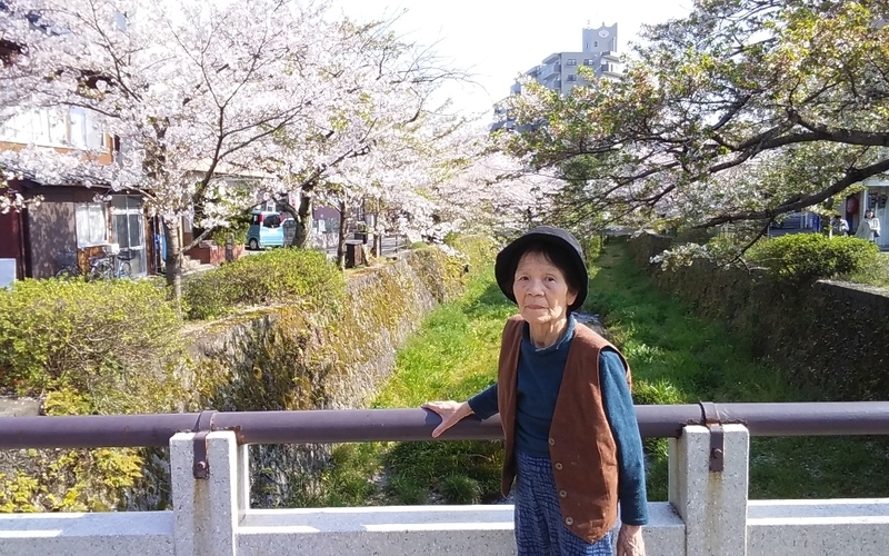 イメージ 1