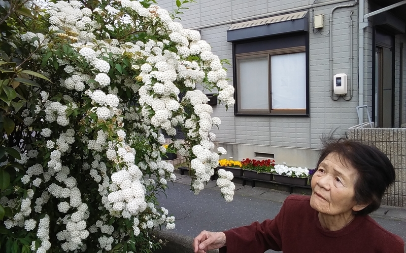 イメージ 6