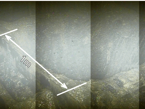 f:id:kaon-yokegawa:20170521081632g:plain