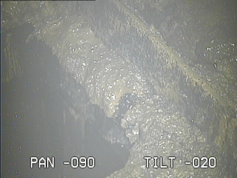 f:id:kaon-yokegawa:20170521081948g:plain