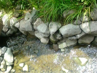 f:id:kaon-yokegawa:20170620092001j:plain