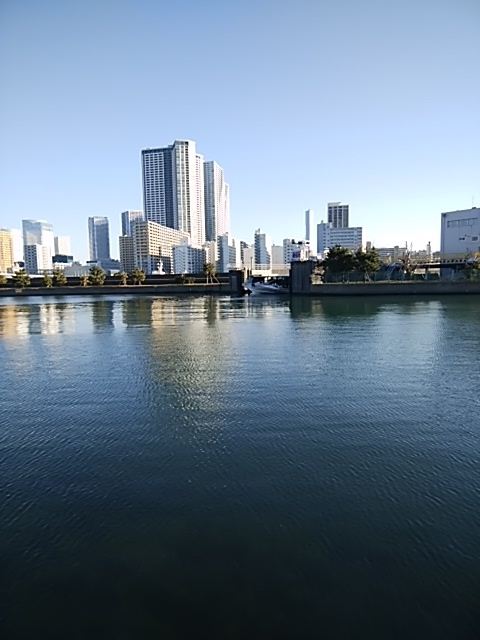 f:id:kaon-yokegawa:20190104143516j:plain