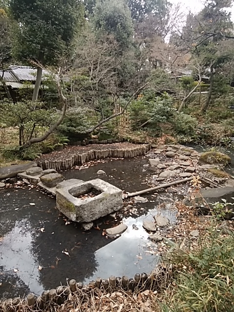 f:id:kaon-yokegawa:20190110113339j:plain