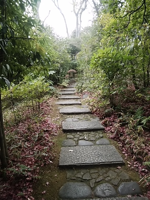 f:id:kaon-yokegawa:20190110124906j:plain