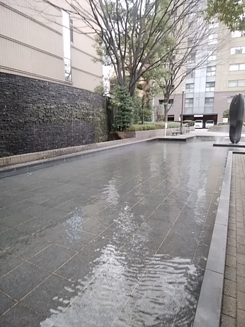 f:id:kaon-yokegawa:20190126145409j:plain