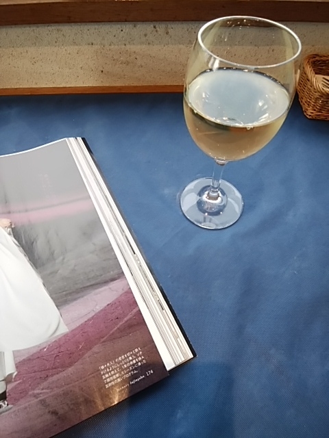 f:id:kaon-yokegawa:20190208155003j:plain