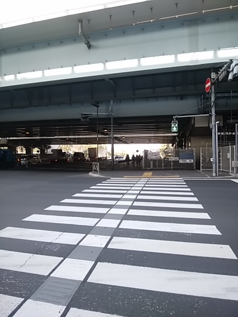f:id:kaon-yokegawa:20190216132956j:plain f:id:kaon-yokegawa:20190216132956j:plain