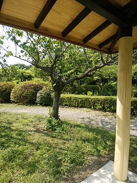 f:id:kaon-yokegawa:20190606144322j:plain f:id:kaon-yokegawa:20190606144322j:plain