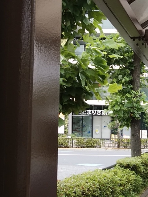 f:id:kaon-yokegawa:20190623094355j:plain