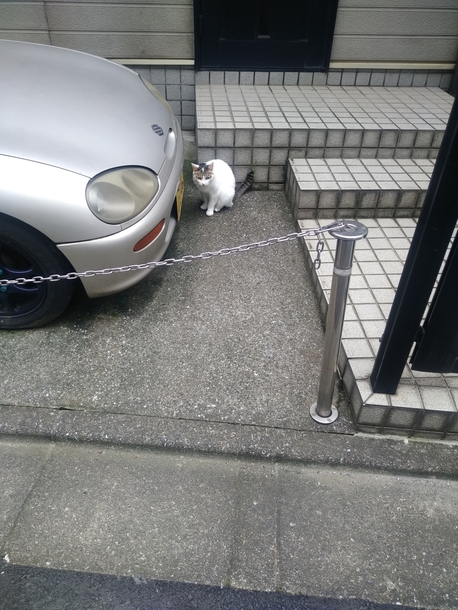 f:id:kaon-yokegawa:20190718103136j:plain