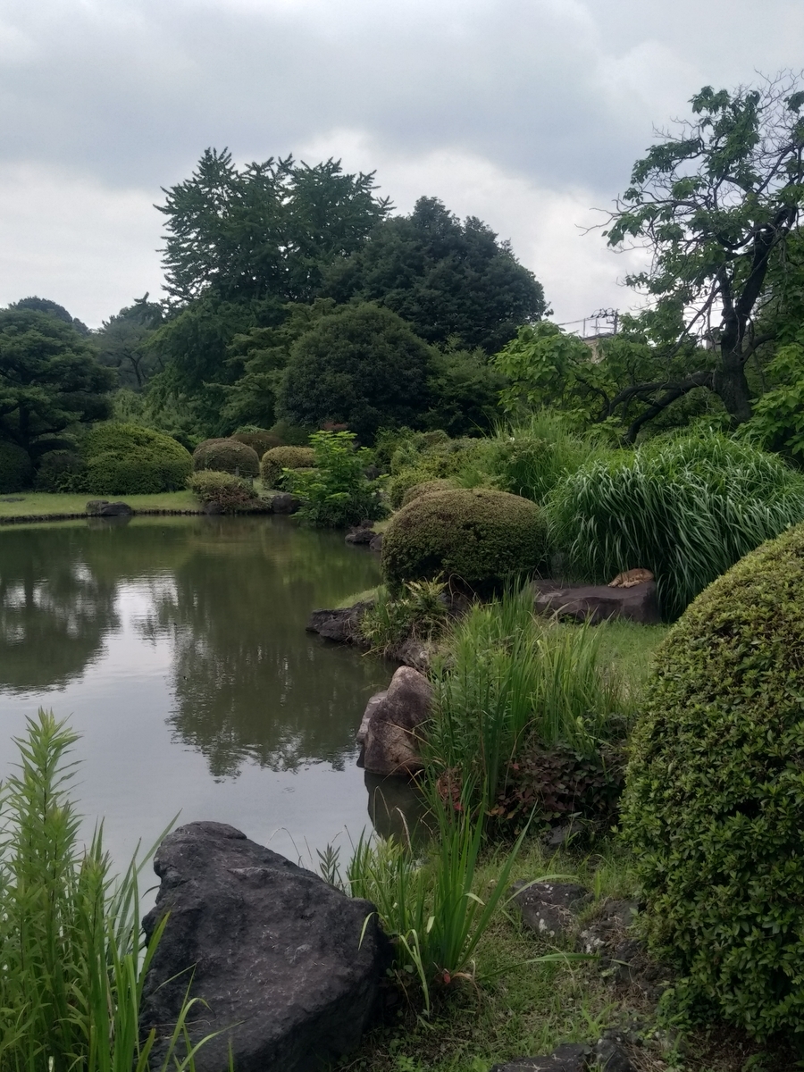 f:id:kaon-yokegawa:20190718132354j:plain