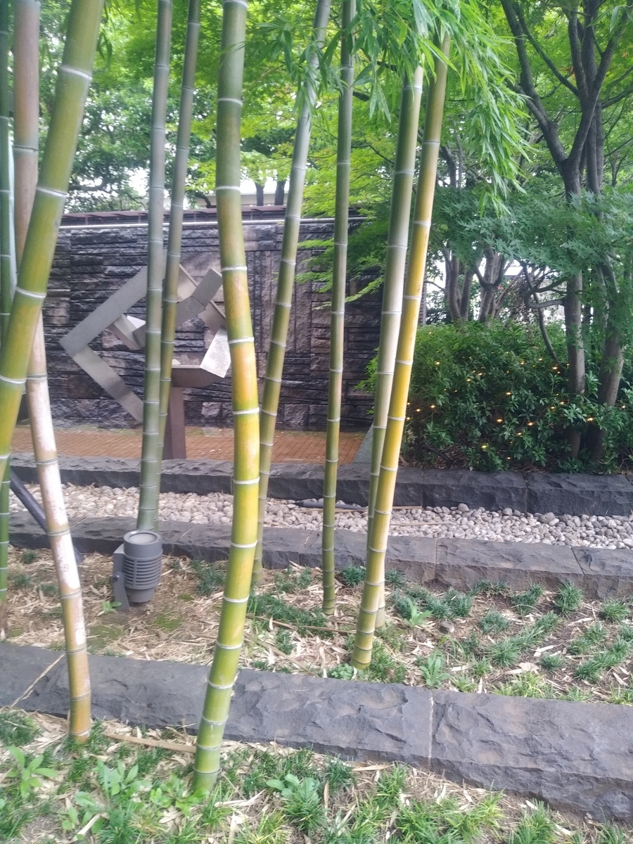 f:id:kaon-yokegawa:20190731162903j:plain