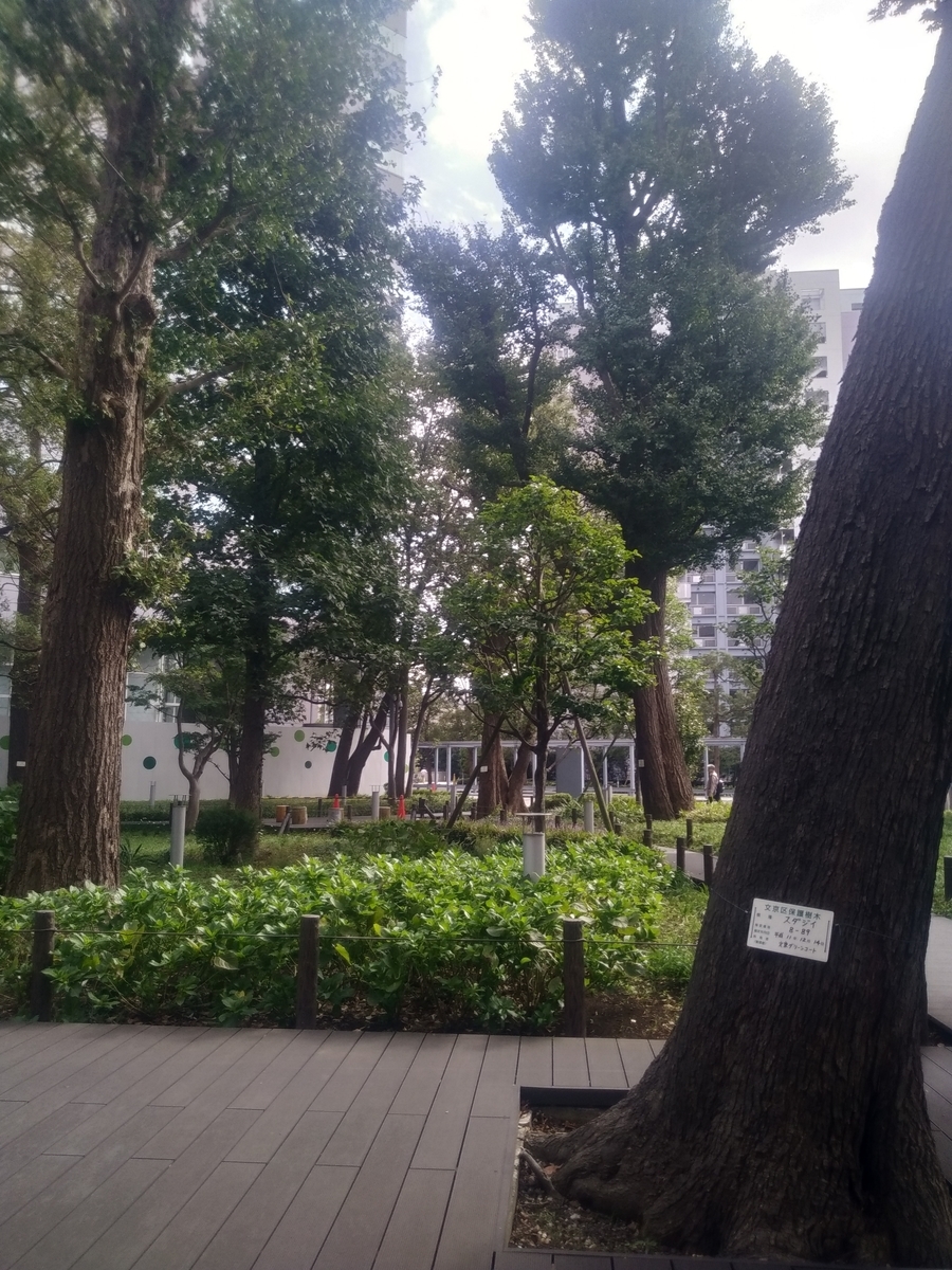 f:id:kaon-yokegawa:20191007134550j:plain