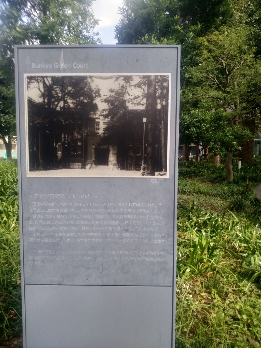 f:id:kaon-yokegawa:20191007134608j:plain