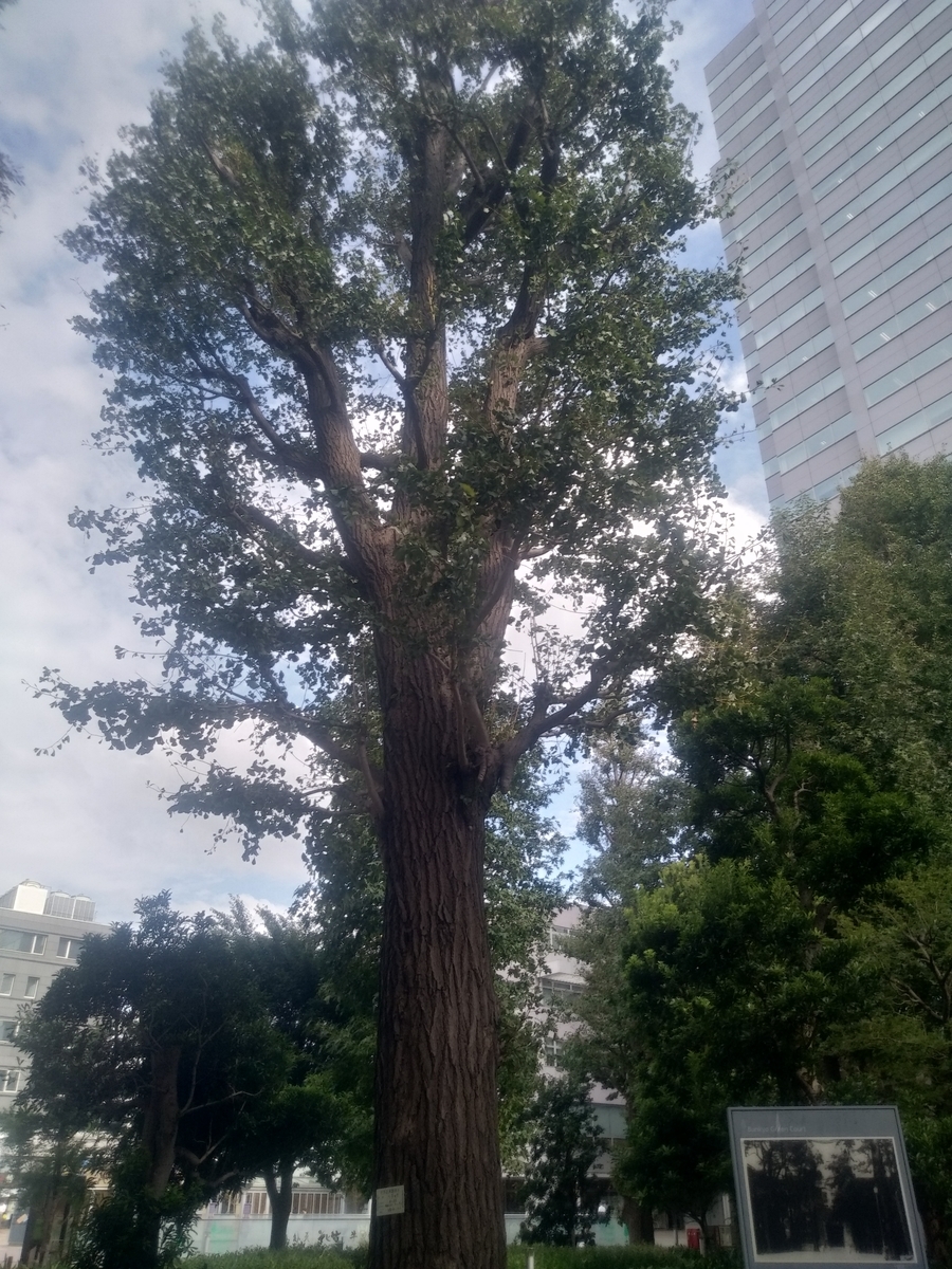 f:id:kaon-yokegawa:20191007134844j:plain