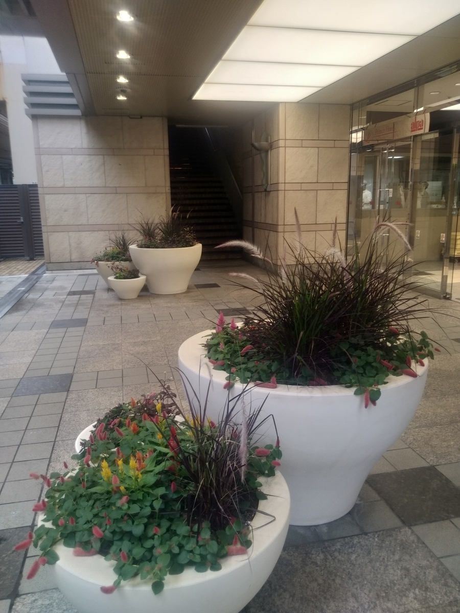f:id:kaon-yokegawa:20191011135833j:plain f:id:kaon-yokegawa:20191011135833j:plain