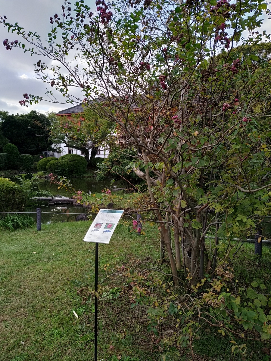 f:id:kaon-yokegawa:20191027144956j:plain