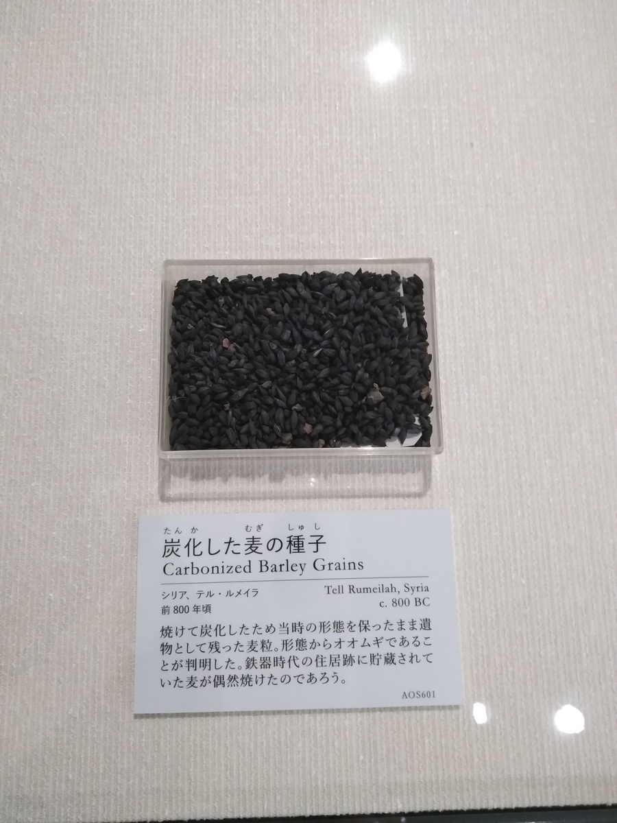 f:id:kaon-yokegawa:20200210144534j:plain