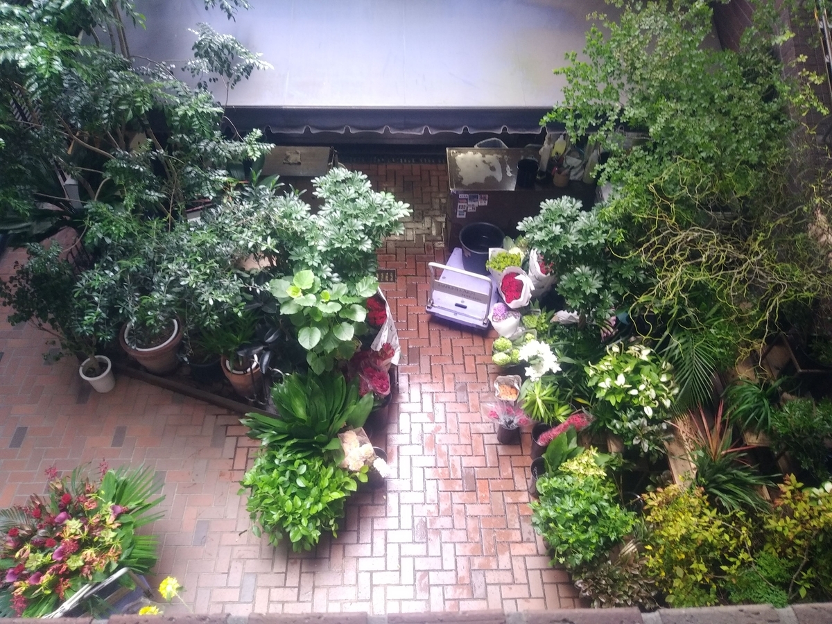 f:id:kaon-yokegawa:20200322141031j:plain