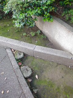 f:id:kaon-yokegawa:20200513065920j:plain