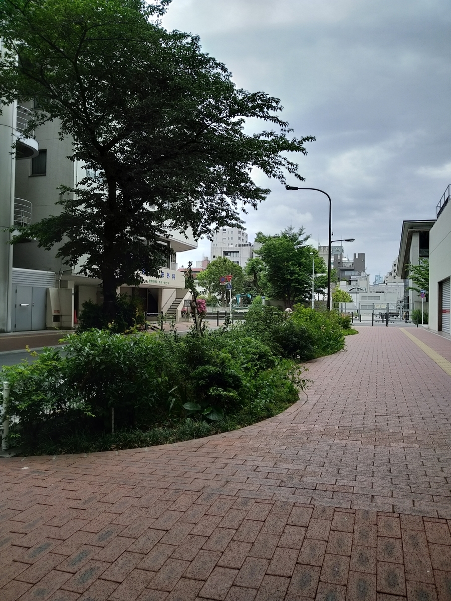 f:id:kaon-yokegawa:20200516073326j:plain