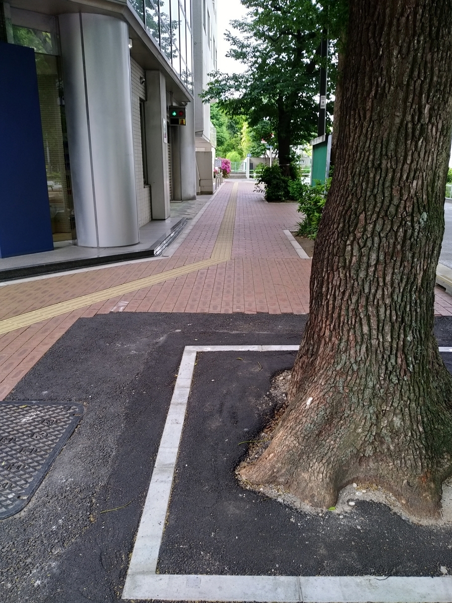 f:id:kaon-yokegawa:20200516073804j:plain