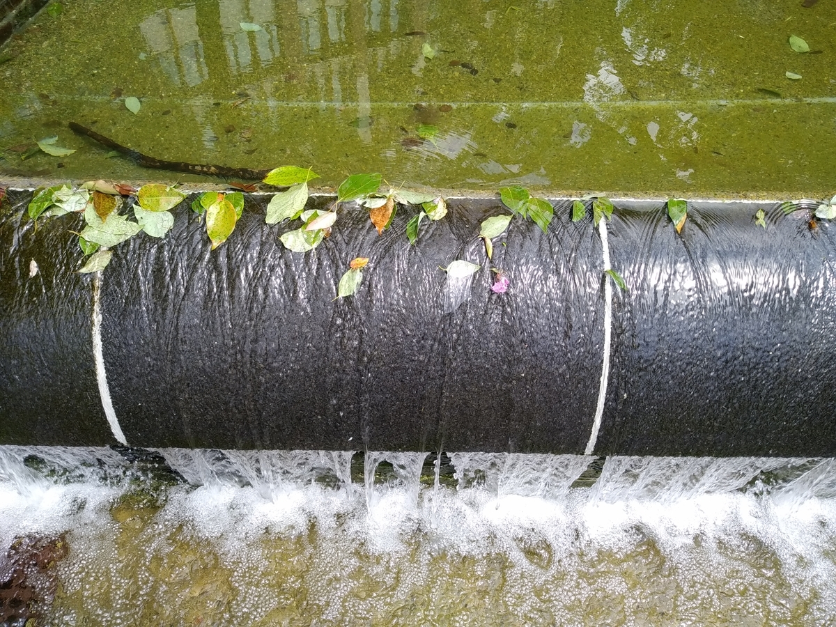 f:id:kaon-yokegawa:20200905122037j:plain