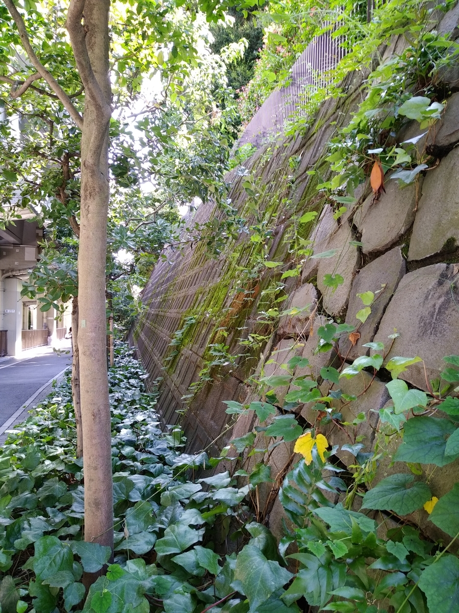 f:id:kaon-yokegawa:20200928121527j:plain