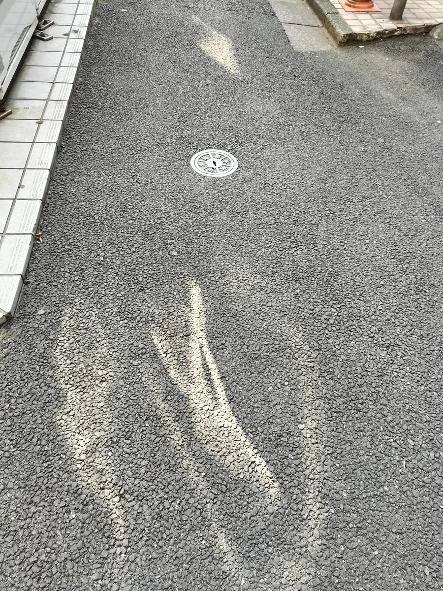 f:id:kaon-yokegawa:20220307100111j:plain