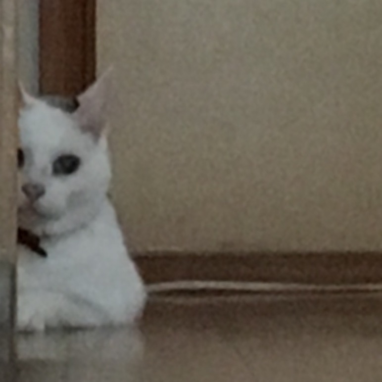 f:id:kaopippi:20161003221822j:plain f:id:kaopippi:20161003221822j:plain