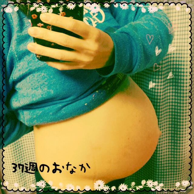 f:id:kaopippi:20161219102747j:plain