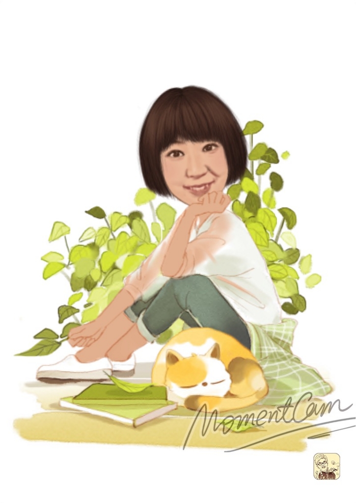 f:id:kaopippi:20170513123917j:plain