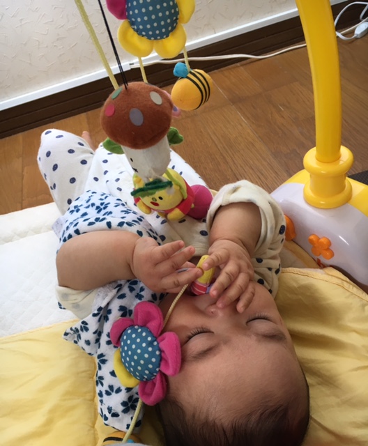 f:id:kaopippi:20170526222642j:plain f:id:kaopippi:20170526222642j:plain