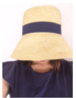 f:id:kaopippi:20170531121857j:plain