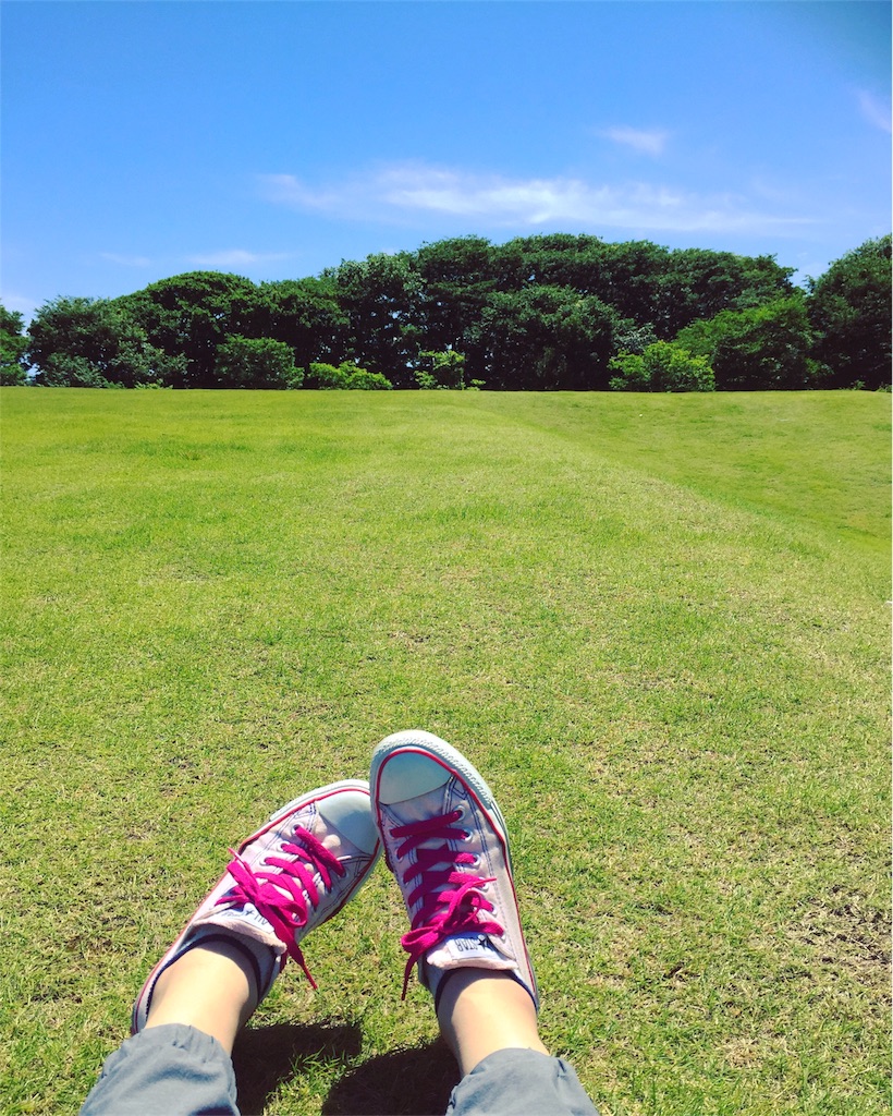 f:id:kaoremix:20170611221056j:image f:id:kaoremix:20170611221056j:image