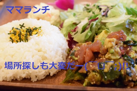 f:id:kaori-ri:20161015074421j:plain f:id:kaori-ri:20161015074421j:plain